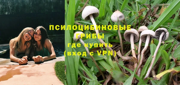 дживик Дмитровск