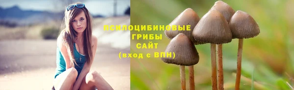 молекула духа Дмитриев