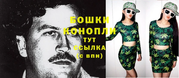 дживик Дмитровск