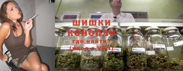 молекула духа Дмитриев
