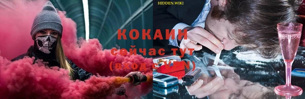 молекула духа Дмитриев
