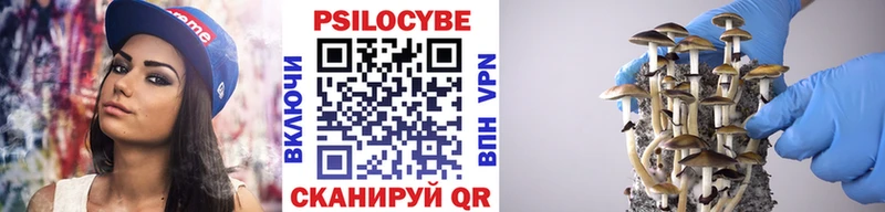Псилоцибиновые грибы ЛСД Майкоп