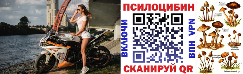 Купить  Майкоп  Галлюциногенные грибы Psilocybine cubensis 